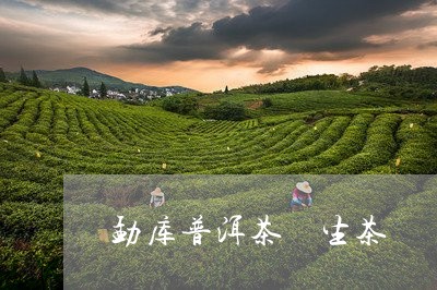 勐库普洱茶 生茶/2023031674839